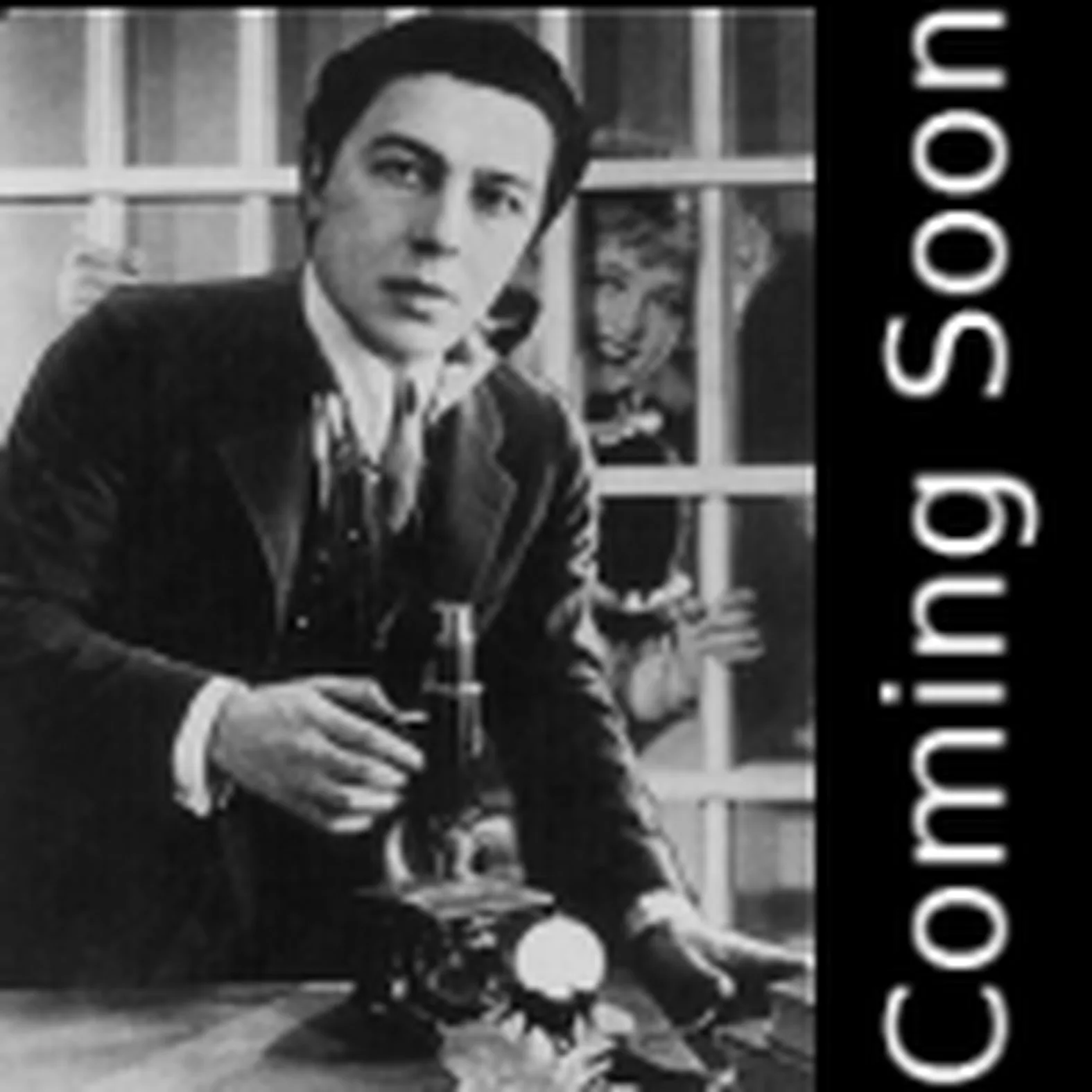 Room 181 front cover