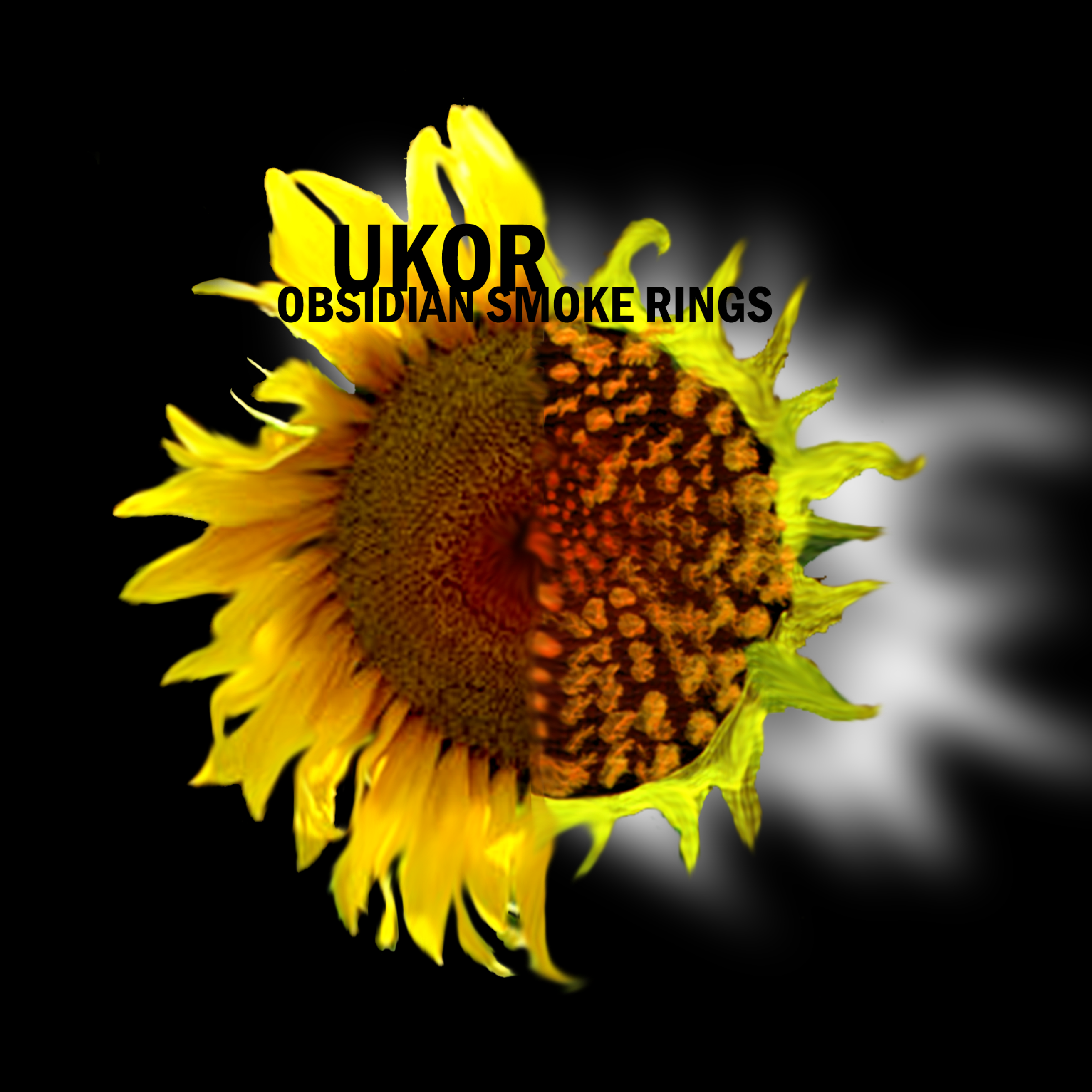 OSR Sunflower disc image